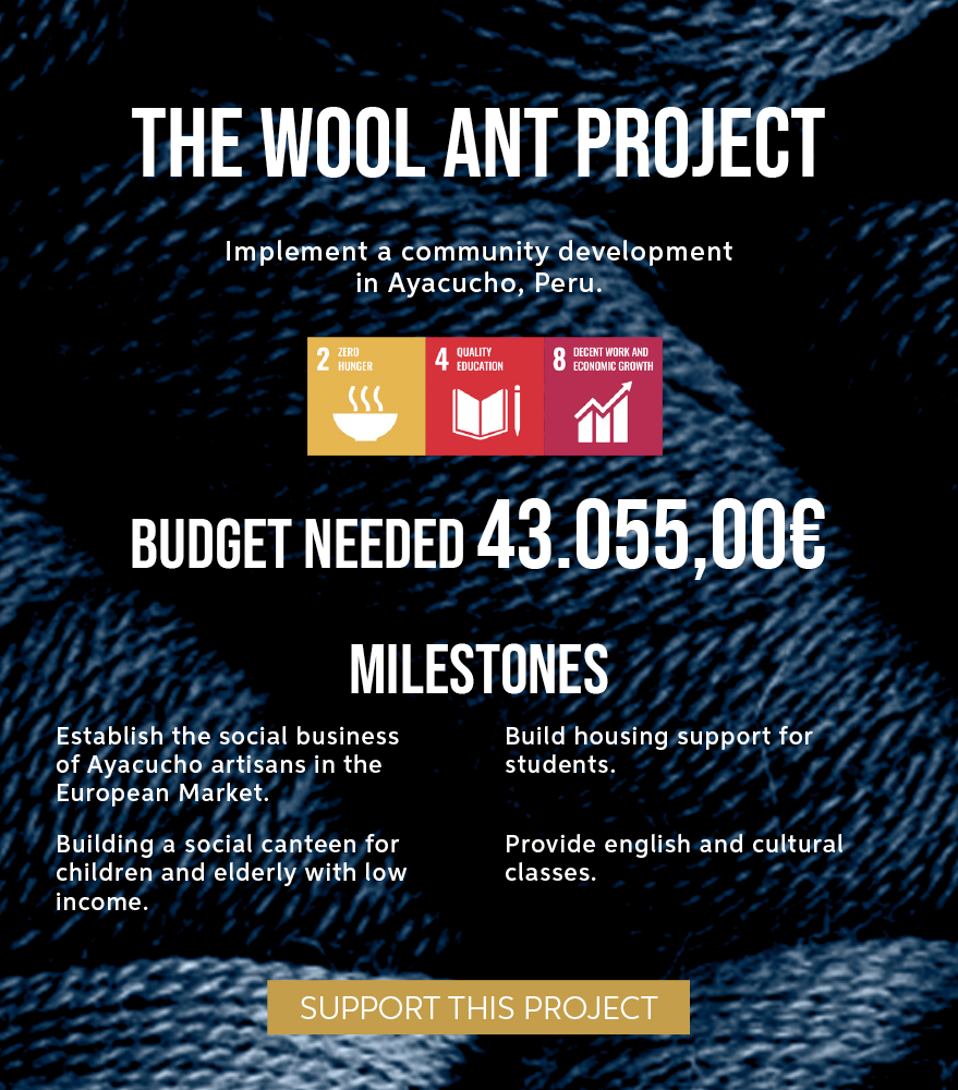 02_the_wool_ant_project_banner